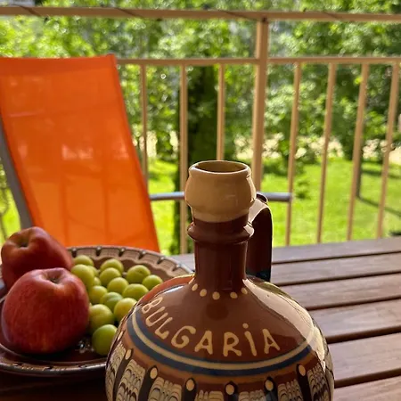 Sunny Pause * Slăntjev Brjag